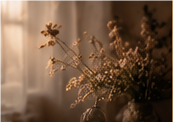 Stillleben mit Vase und getrockneten Blumen